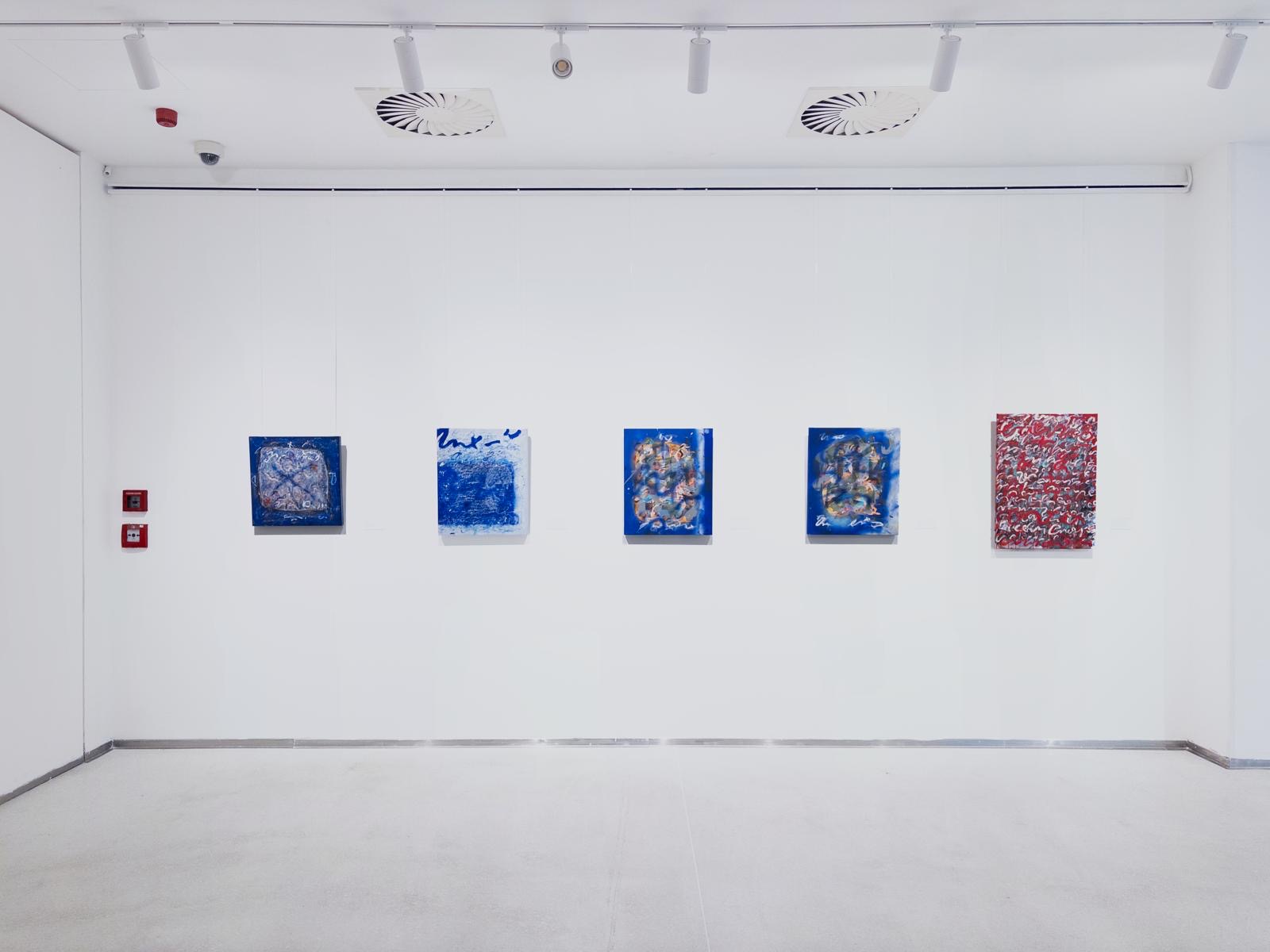 Five Anima Mundi paintings installed on a white gallery wall